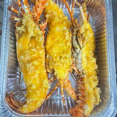 t 244 m h 249 m b 244 ng ch 225 y toi