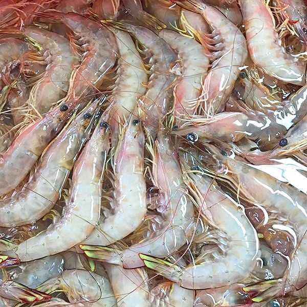  Tôm Bạc Biển Thiên Nhiên (38 - 42con/kg) 