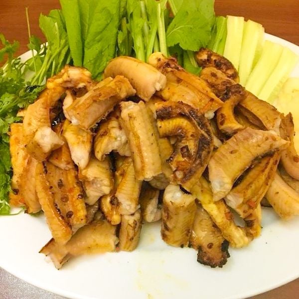  Cá Mút Đá - Cá Ninja 