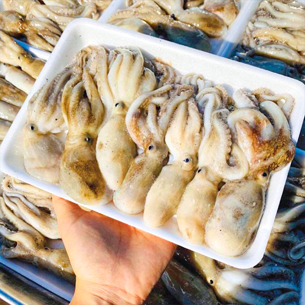 bach tuoc mi no con ruoc bien