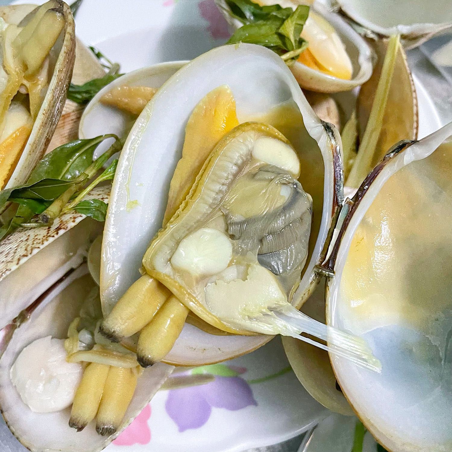  Ngao 2 Cồi Thiên Nhiên Hấp Sả 