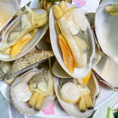 ngao 2 coi thi 234 n nhi 234 n hap sa