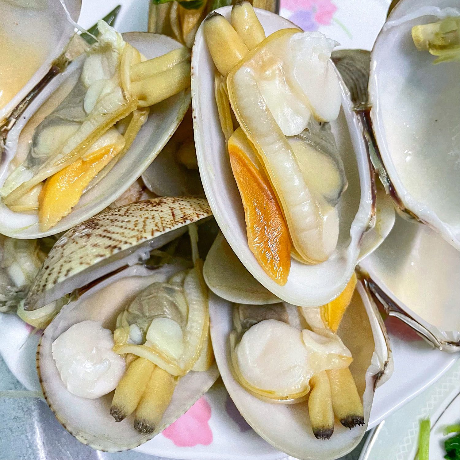  Ngao 2 Cồi Thiên Nhiên Hấp Sả 