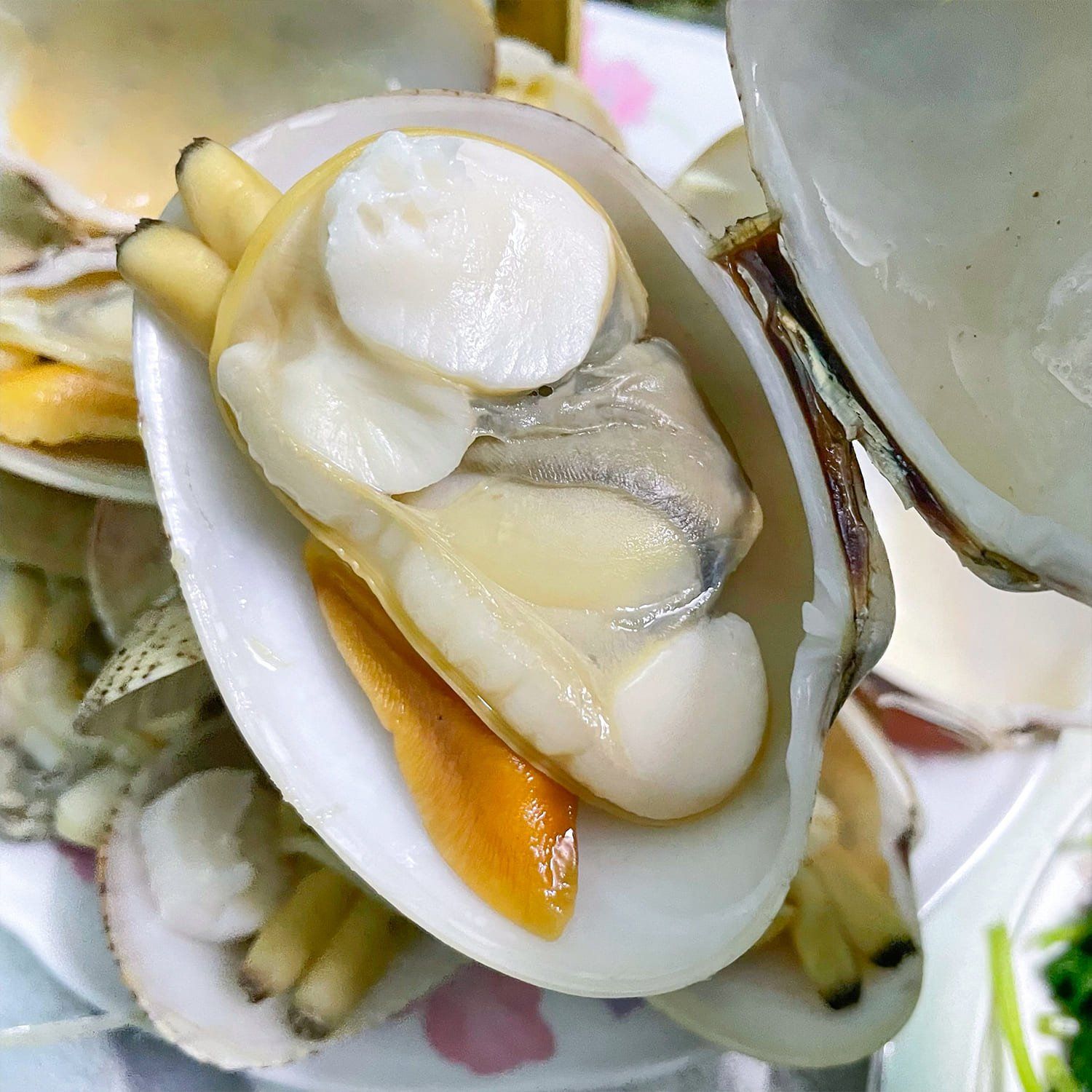  Ngao 2 Cồi Thiên Nhiên Hấp Sả 