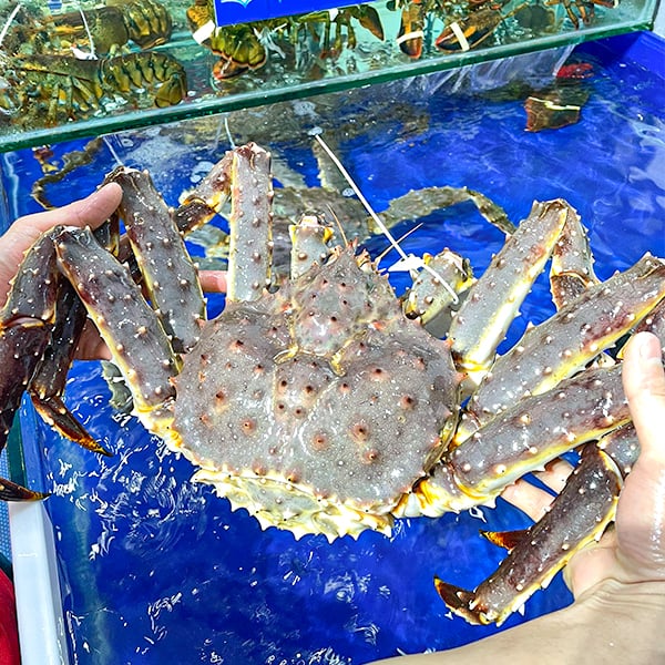 cua hoang de king crab