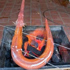 c 225 ch 236 a v 244 i do