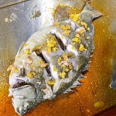 c 225 m 250 218 c hap x 236 dau