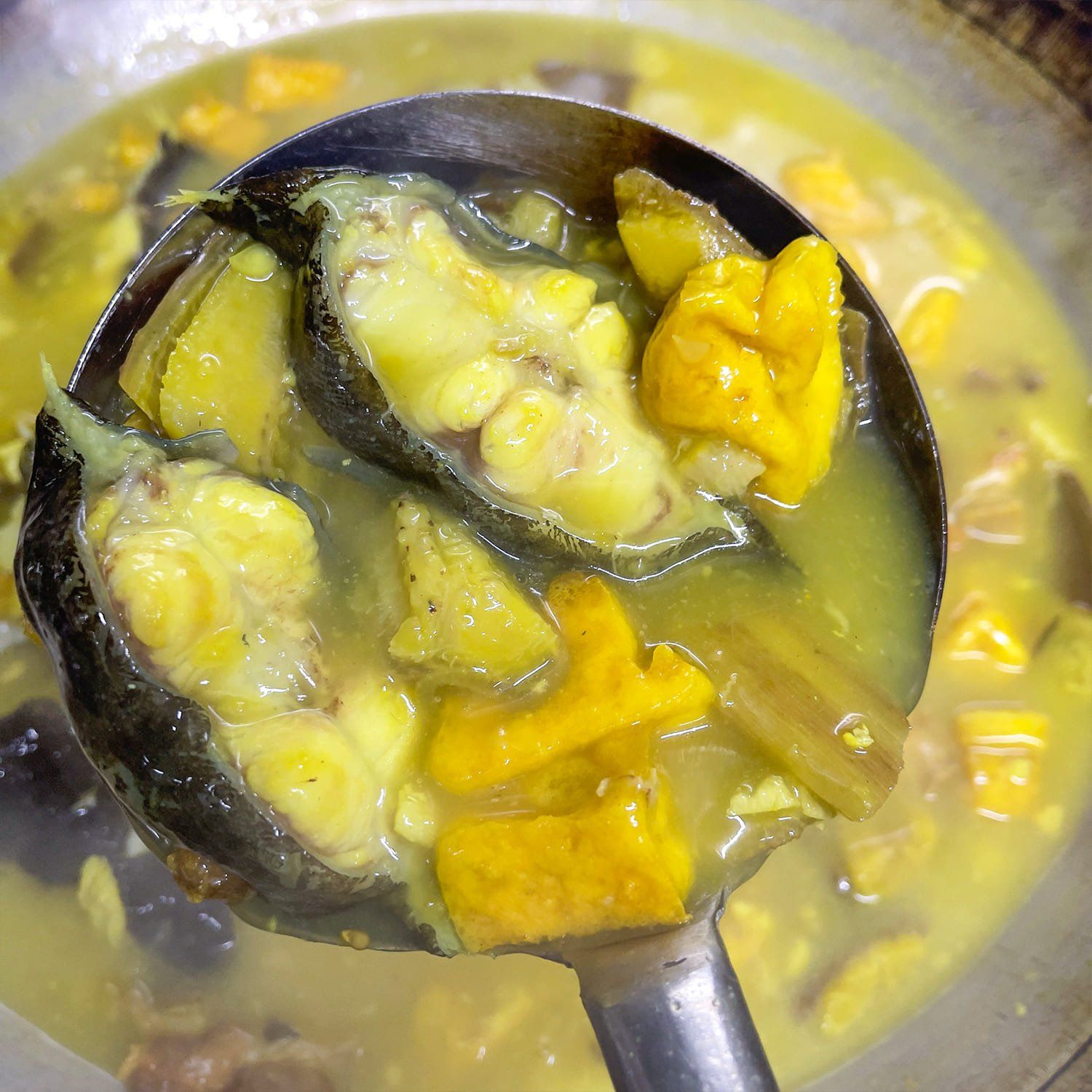  Cá Chình Hoa Om Chuối Đậu 