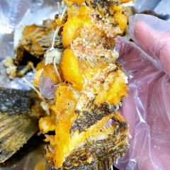 c 225 bon chi 234 n gi 242 n