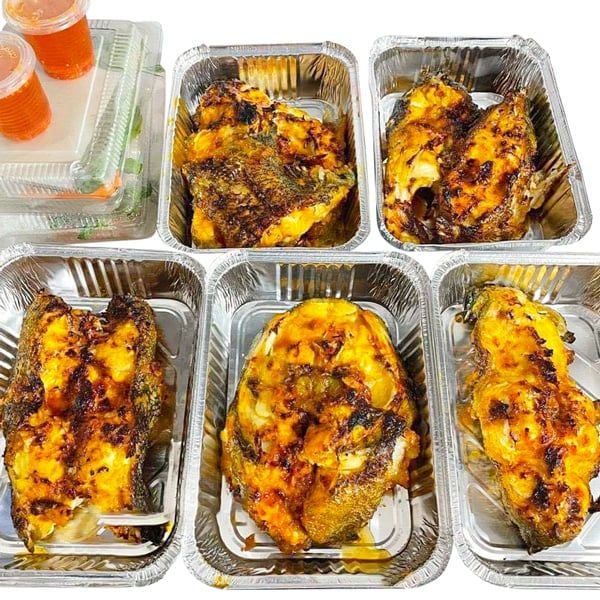  Cá Song Hổ - Cá Mú Cọp (Size 3 - 6kg/con) 