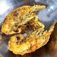 t 244 m mu ni do ch 225 y toi