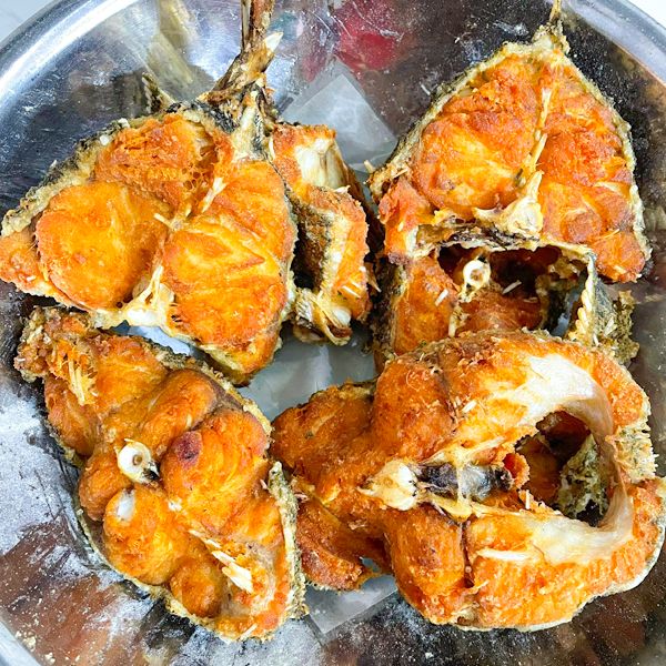  Cá Song Hổ - Cá Mú Cọp (Size 3 - 6kg/con) 