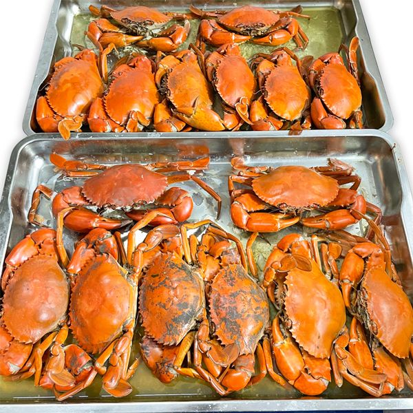 cua Cà Mau hấp cua Cà Mau hấp