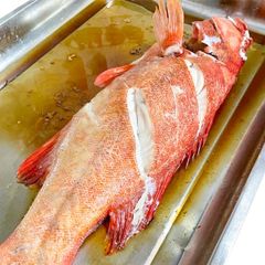 c 225 m 250 do hap x 236 dau