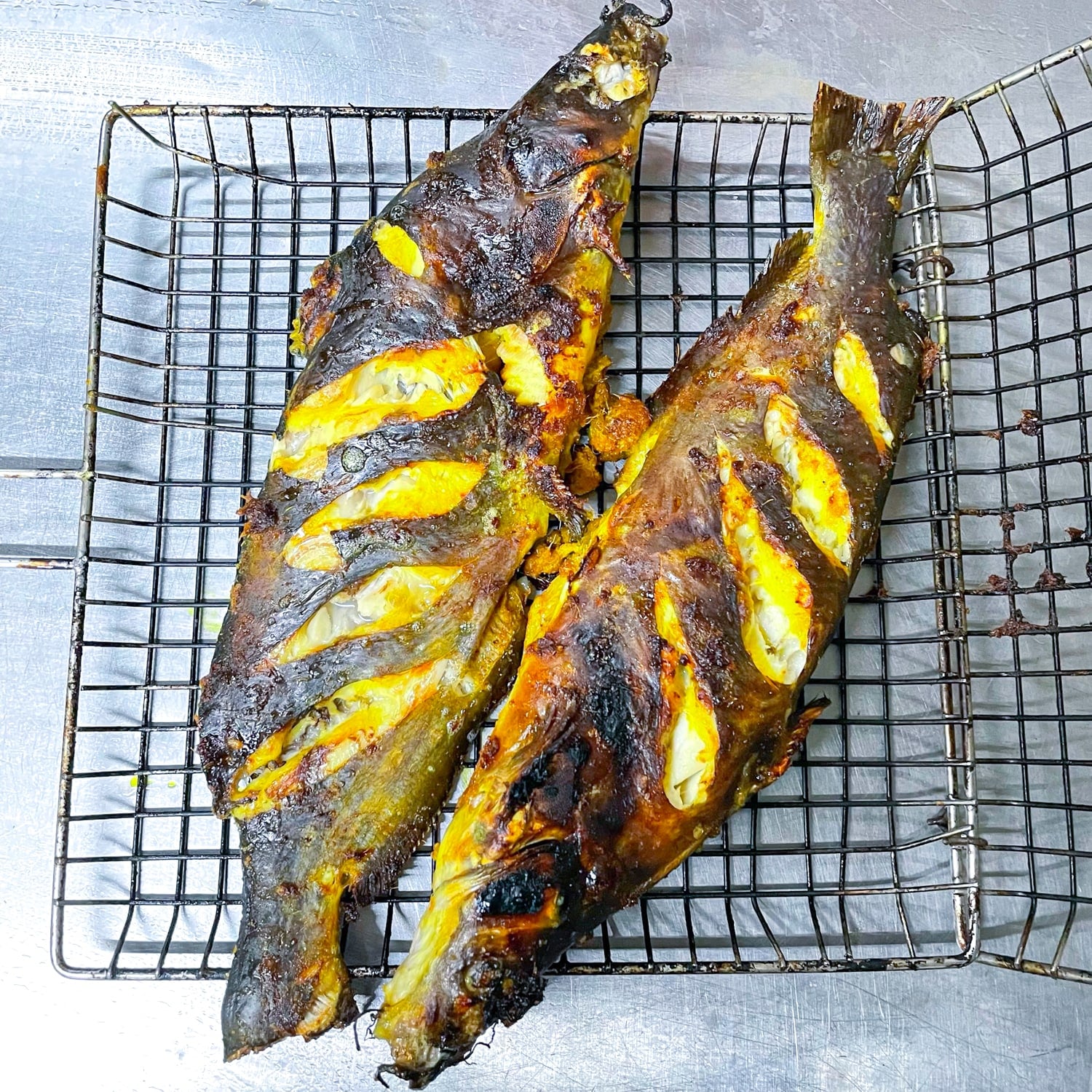 ca nganh nuong rieng me