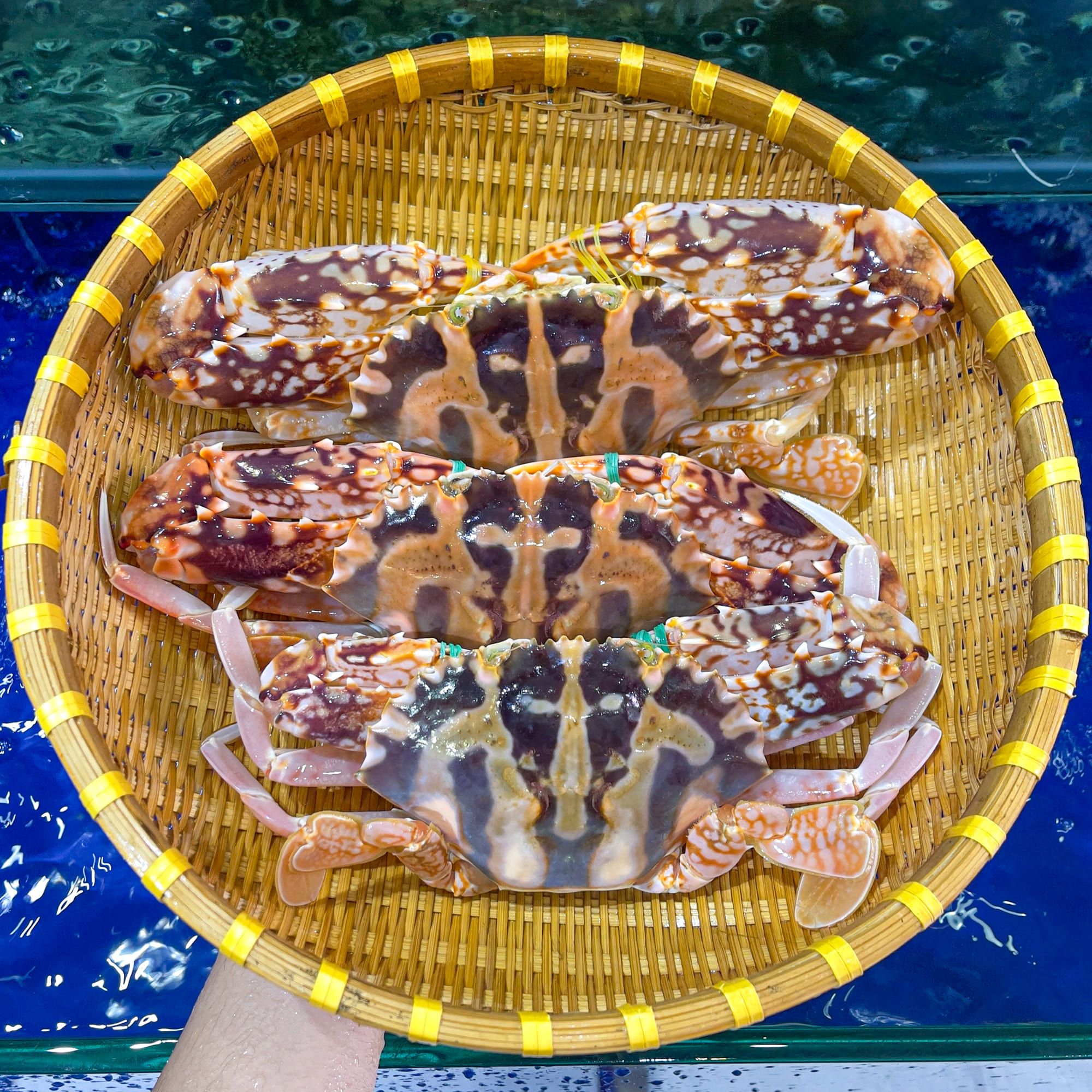  Ghẹ Đỏ (Size 3 - 5 con) 