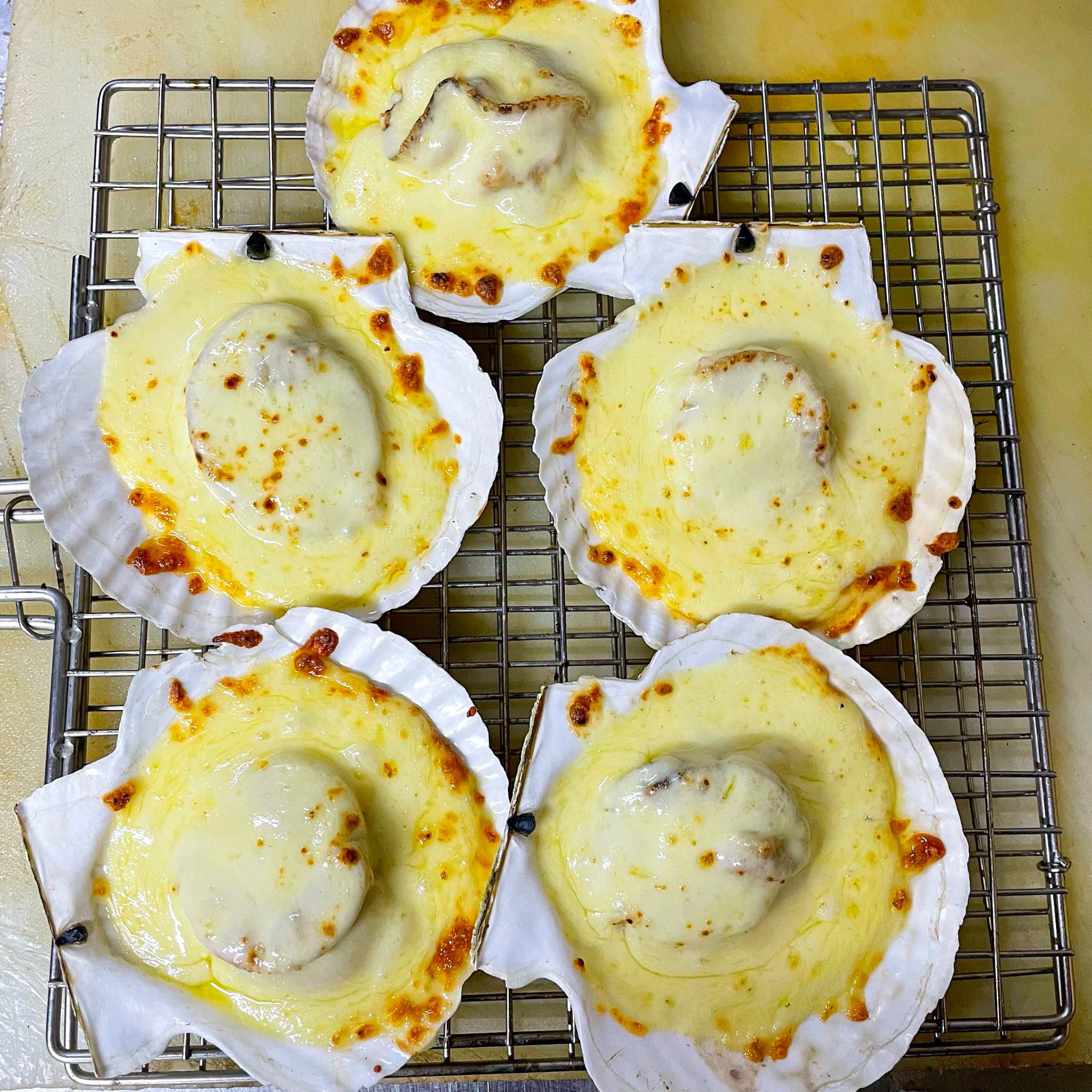  Sò Điệp Nhật Nướng Phô Mai 