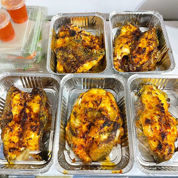  Cá Song Hổ - Cá Mú Cọp (Size 1,5 - 3kg/con) 