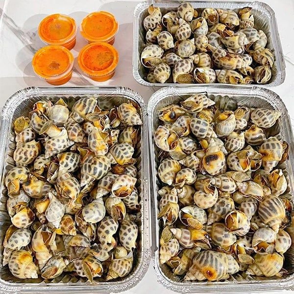  Ốc Hương Size 80 