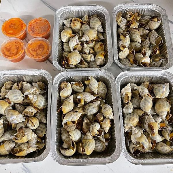  Ốc Hương Size 80 