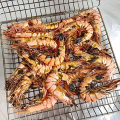 t 244 m s 250 nuong moi