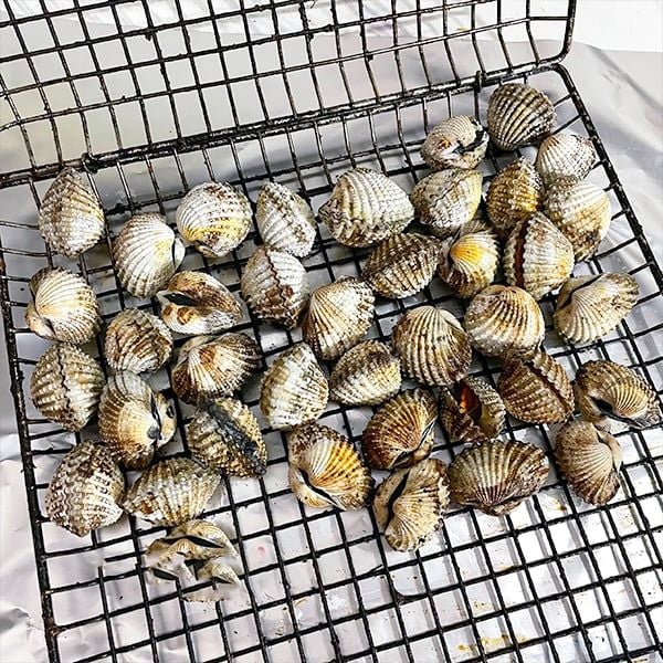  Sò Huyết Nướng Mọi 