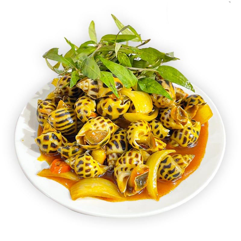  Ốc Hương Size 80 Rang Me 