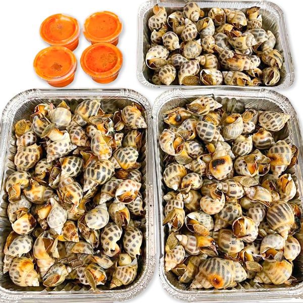  Ốc Hương Size 80 Nướng Mọi 