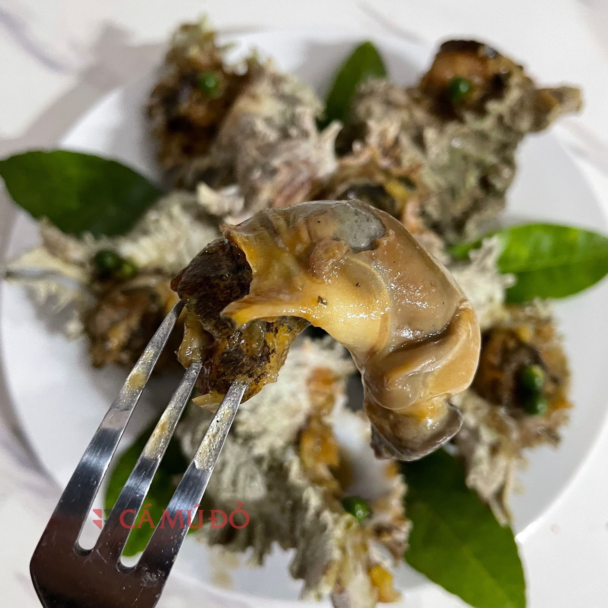  Ốc Sư Tử Nướng Tiêu Xanh 