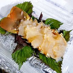 sashimi t 244 m h 249 m b 244 ng