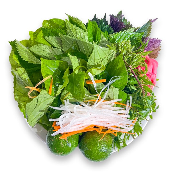 hop rau cuon sashimi