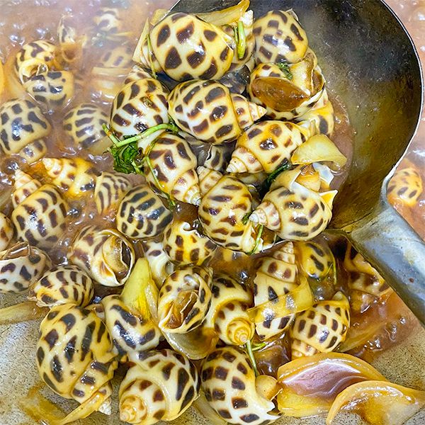  Ốc Hương Size 80 Rang Me 