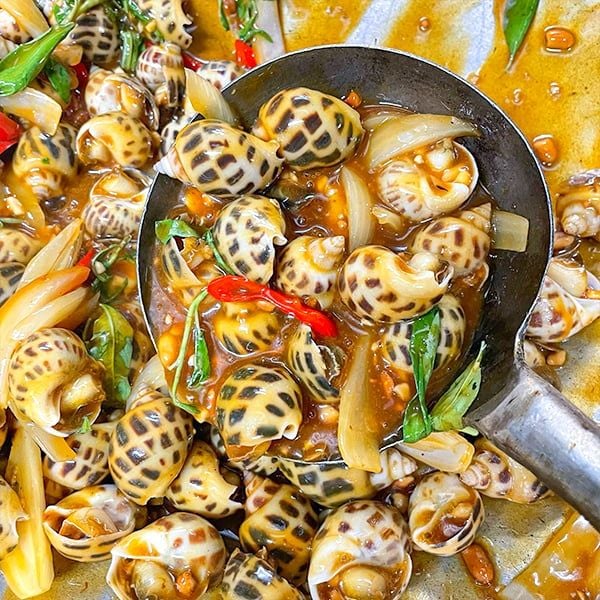  Ốc Hương Size 80 