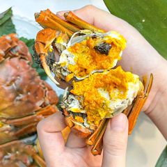 cualongthuonghaicuacai