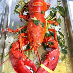 t 244 m h 249 m alaska hap