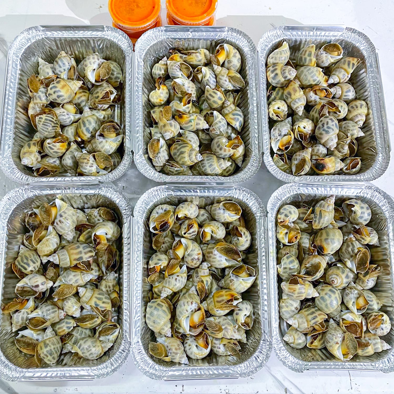 oc huong size 80 nuong moi