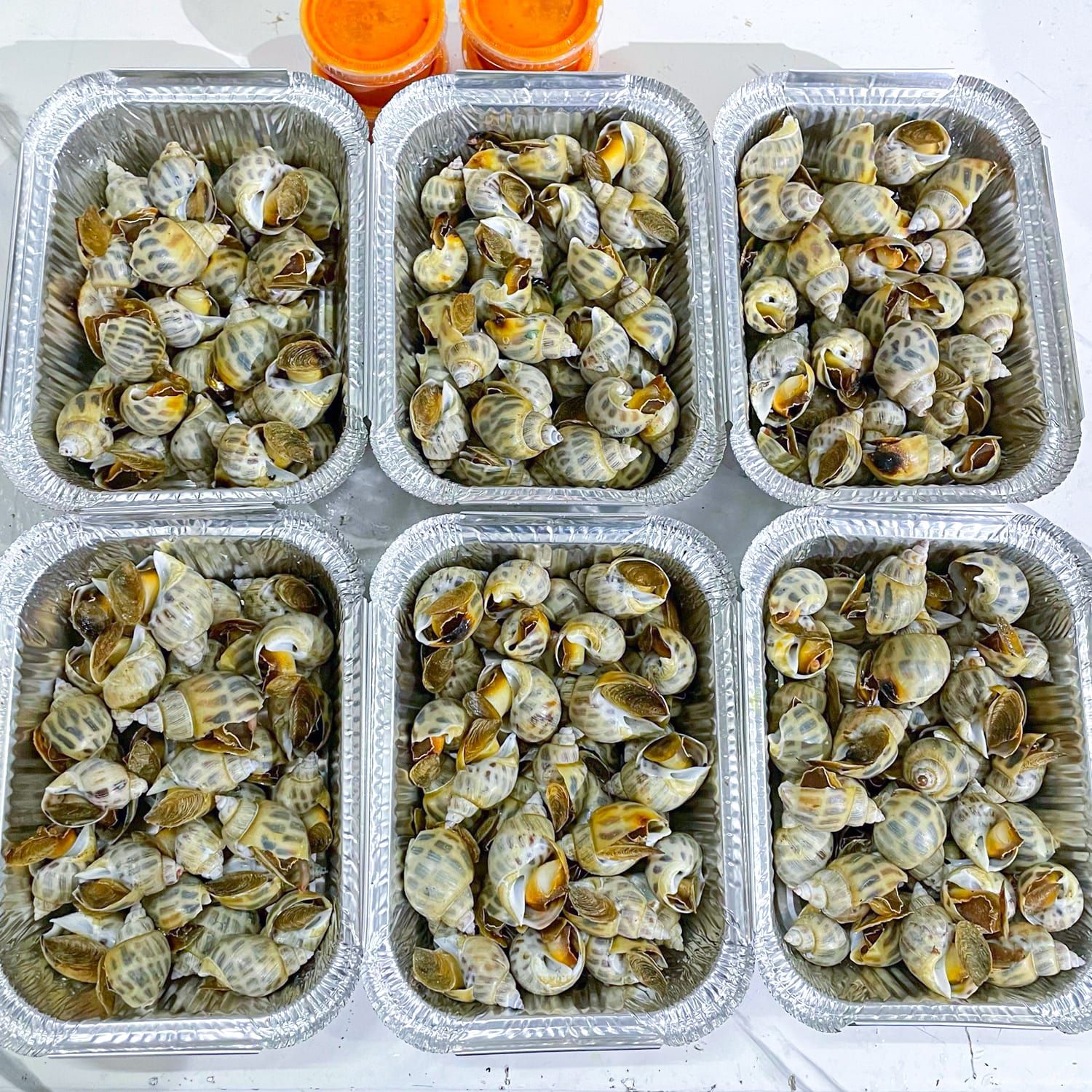  Ốc Hương Size 80 Nướng Mọi 