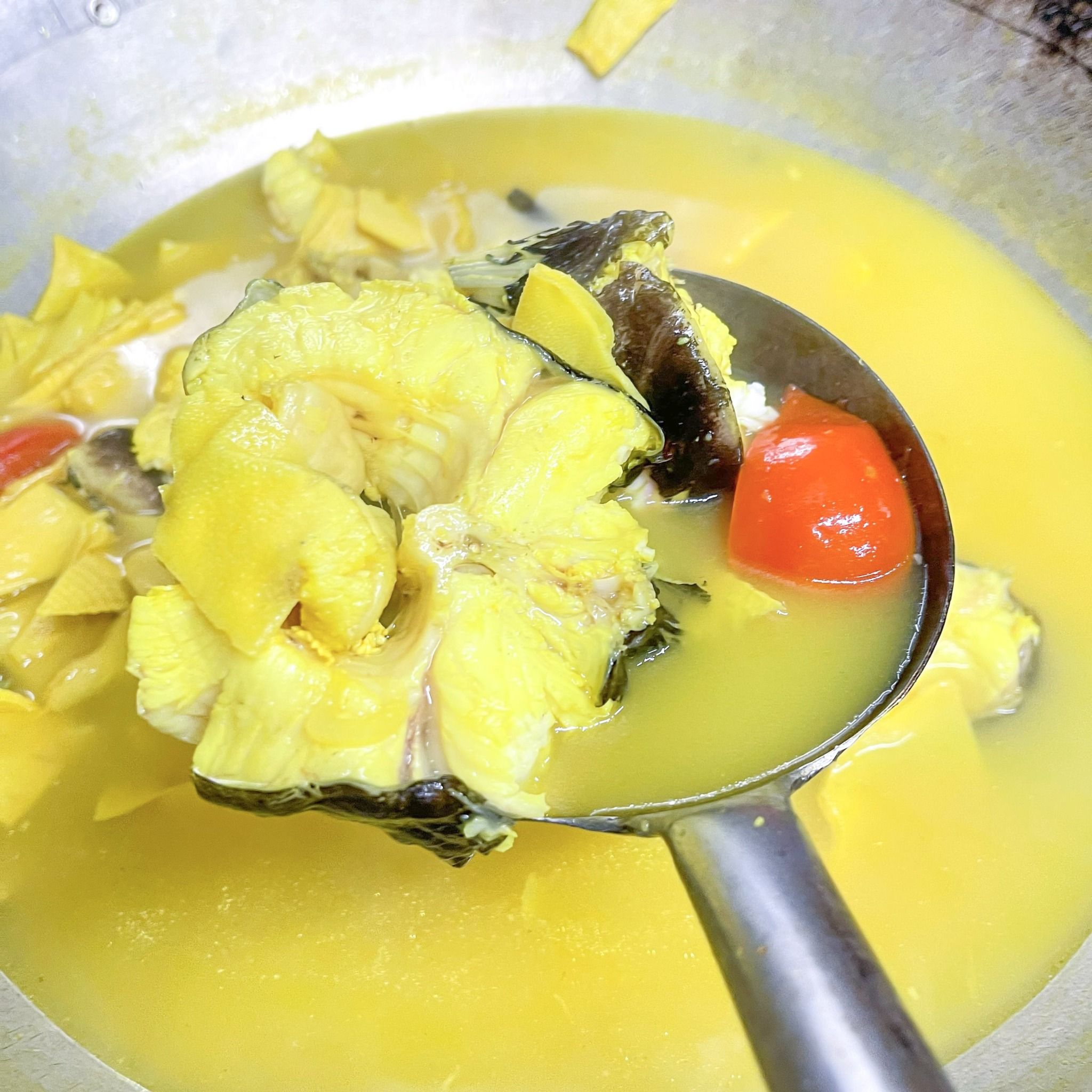  Cá Lăng Đuôi Đỏ Om Măng 