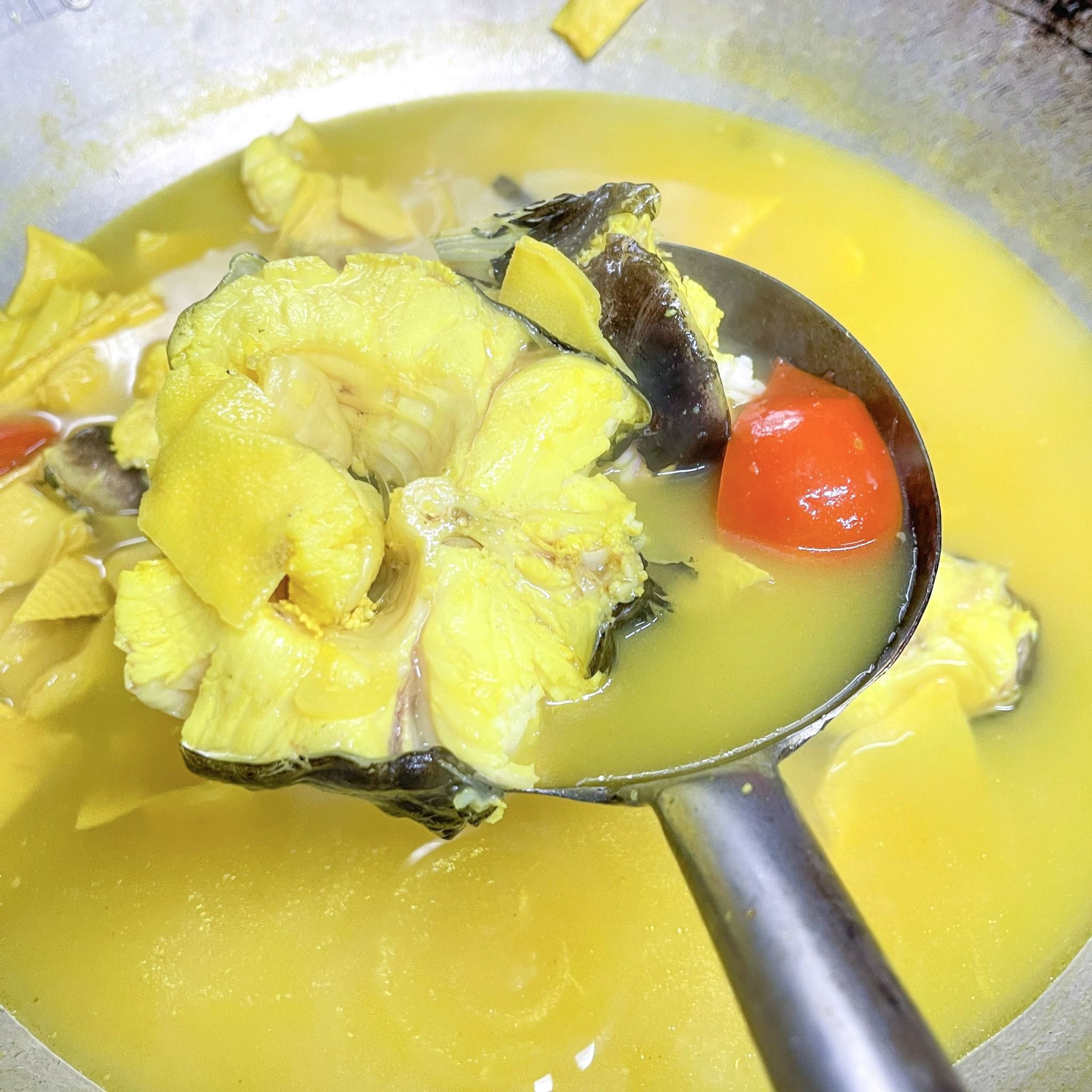  Cá Lăng Đuôi Đỏ Om Măng 