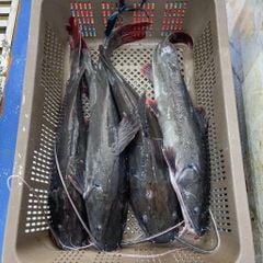 c 225 lang du 244 i do