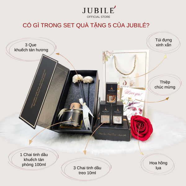  [Kèm Hoa và Thiệp] Set Quà Tặng V: Tinh Dầu Thơm Phòng Ngủ 100ml Thư Giãn , Tinh Dầu Treo Thiên Nhiên Khử Mùi 10ml 