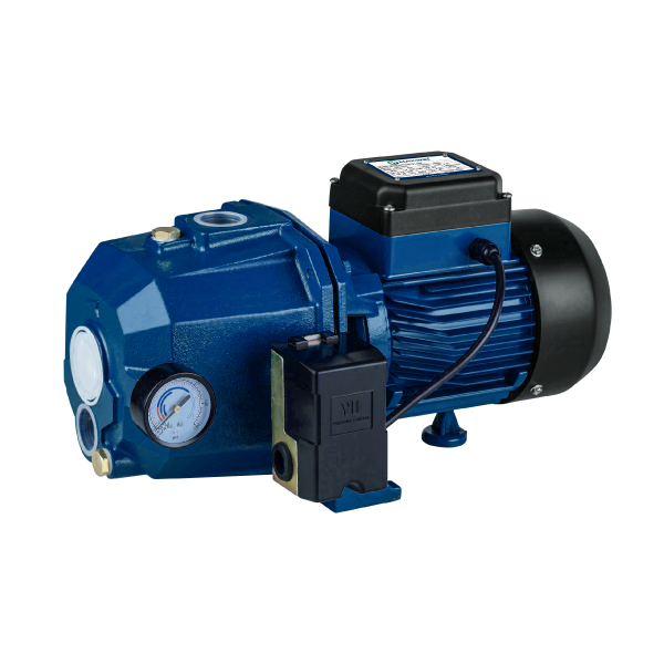  Máy bơm hút sâu Maxwin MYDJDP100 750W 