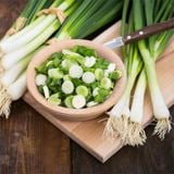 Green onions IQF