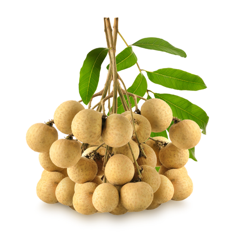 Longan