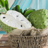 Soursop