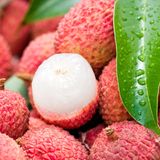 Litchi fruit