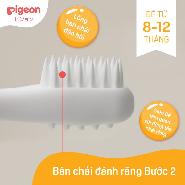 Bàn Chải Đánh Răng Bước 2 - Cam