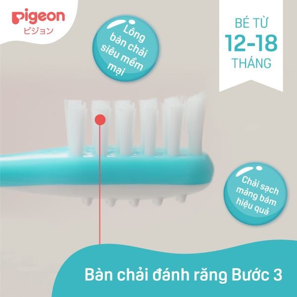 Bàn Chải Đánh Răng Bước 3 Xanh Lá