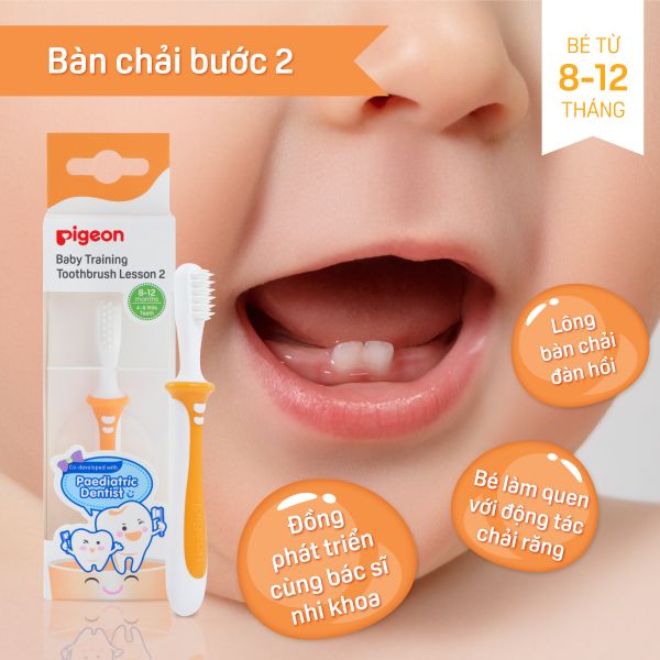 Bàn Chải Đánh Răng Bước 2 - Cam