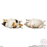 Mocchiri Kororin Cat